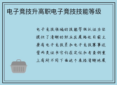 电子竞技升高职电子竞技技能等级